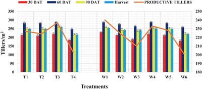 Effect of summer legume residue incorporation and fertilizer regimes on rice growth, yield, and nutrient uptake